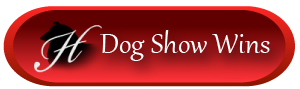Dog Shows & Sunnybank Puppy Matches